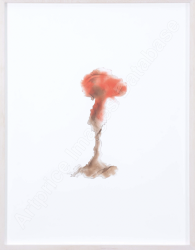 MUSHROOM CLOUD 1.4